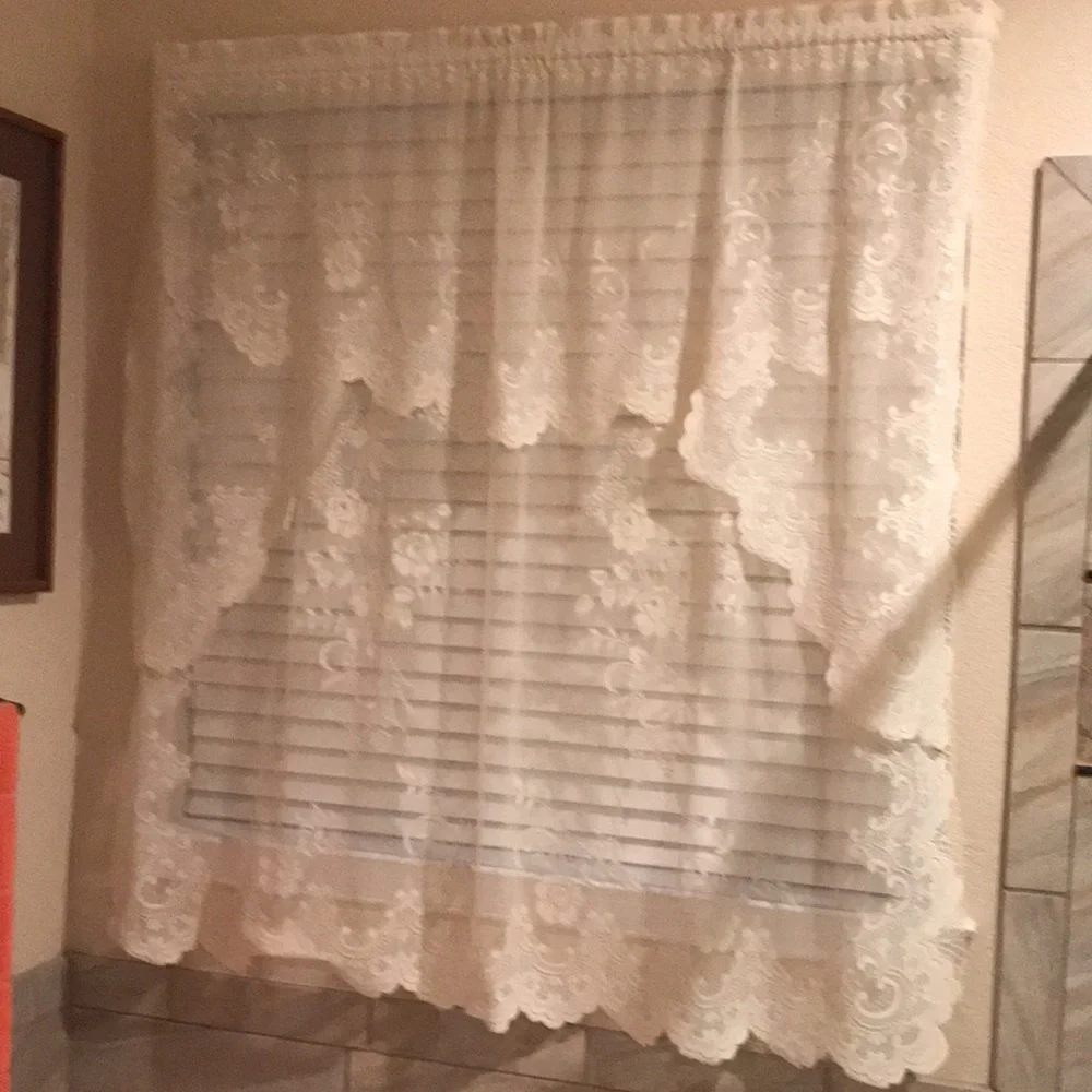 Curtain Sheer Lace Floral Curtain with Attached Valance (1-piece)